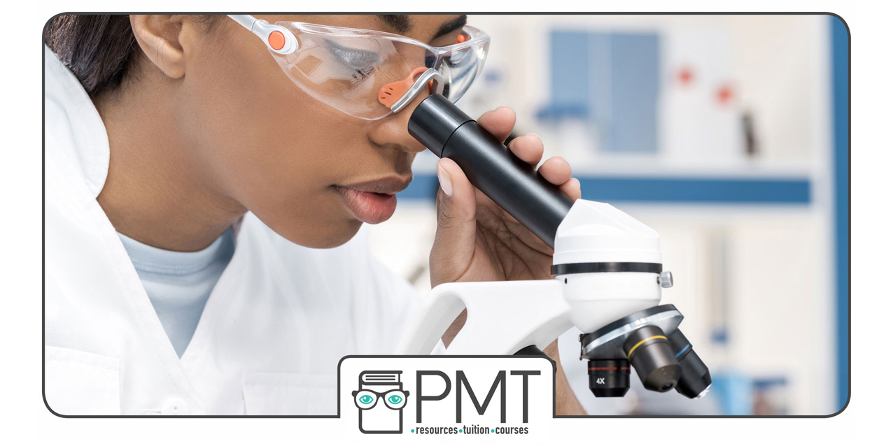 Exam Technique Course Biology GCSE Exam Technique Classes