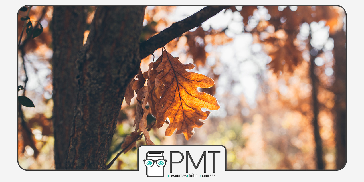 Autumn A-level Booster Courses Online Biology A-level Booster Classes