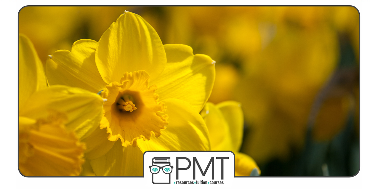 Easter Crash Courses - Online Online GCSE Easter Crash Courses