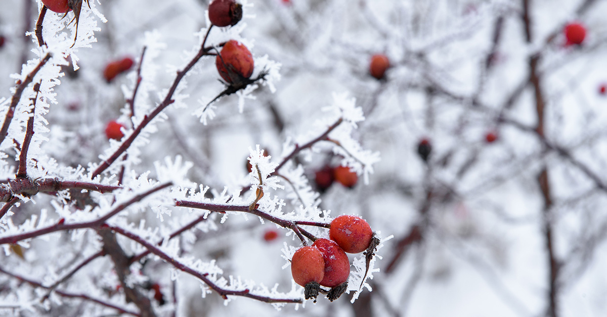 Examples of essay questions and answers image